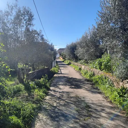 Casa Emilia 펜션 *