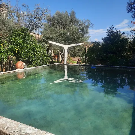 Casa Emilia Holiday home Ferreira do Zezere