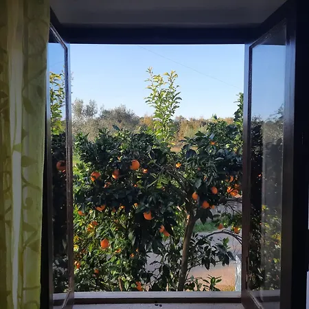 Holiday home Casa Emilia *