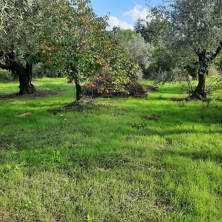 Casa Emilia * 페레이라도제제레