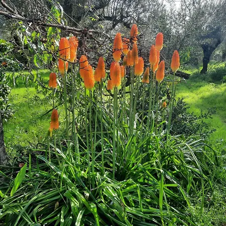 펜션 Casa Emilia *