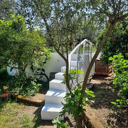 Holiday home Casa Emilia Ferreira do Zezere