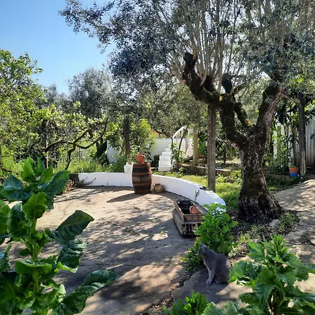 Casa Emilia Ferreira do Zezere