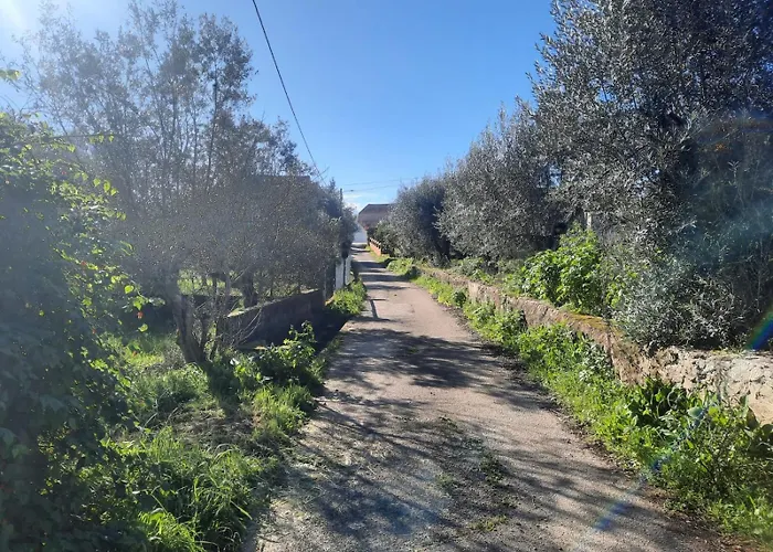 Casa Emilia Tatil Evi *