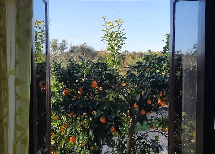 Tatil Evi Casa Emilia *