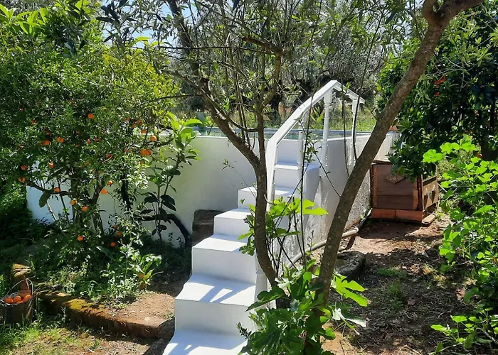 Tatil Evi Casa Emilia Ferreira do Zêzere